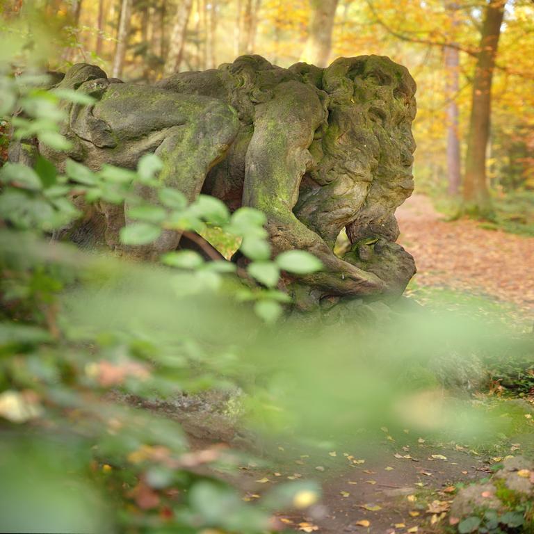 Jeschkeho vila a Lázeňský dům Kuks Exteriér fotografie